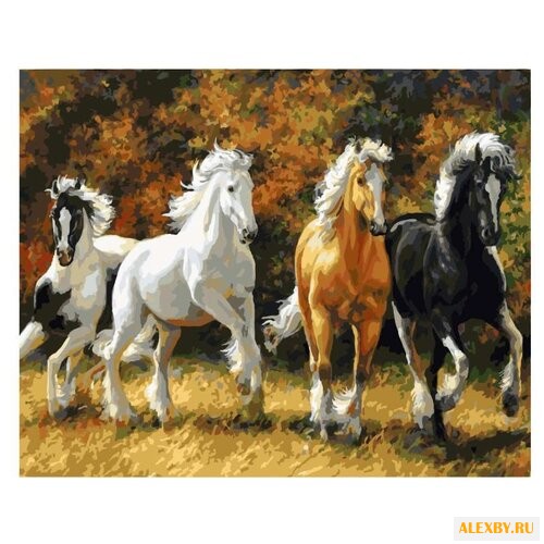 Color Kit Картина по номерам