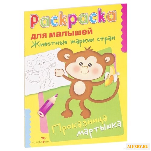 Стрекоза Раскраска для малышей.