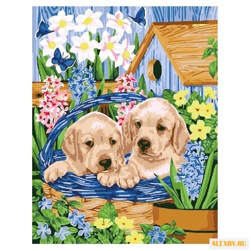 Hobbart Картина по номерам