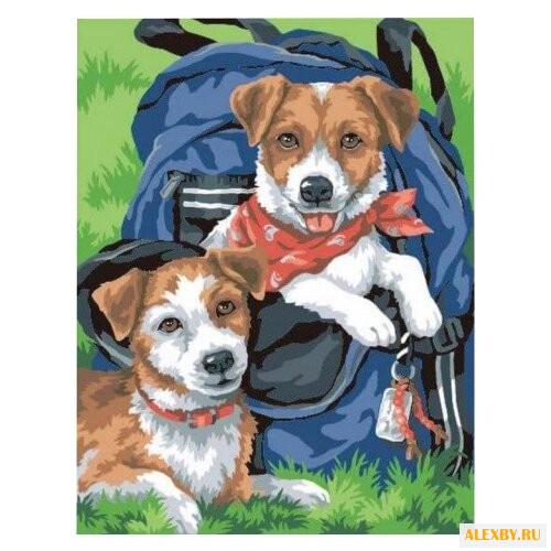 Dimensions Картина по номерам