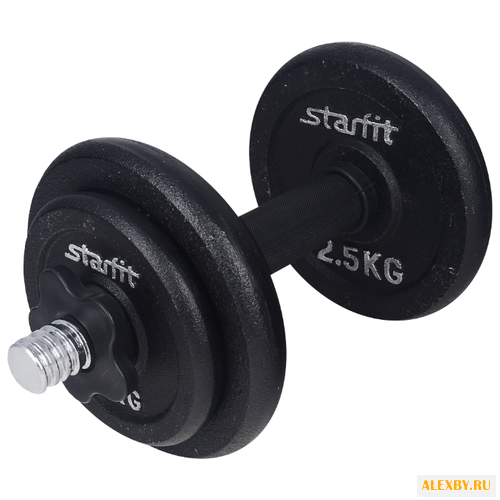Гантель разборная Starfit