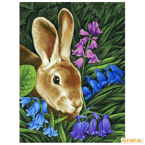 Белоснежка Картина по номерам