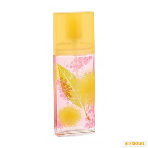 Elizabeth Arden Green Tea Mimosa