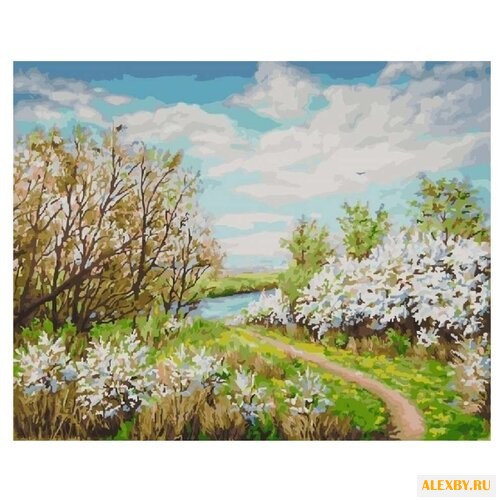 Color Kit Картина по номерам