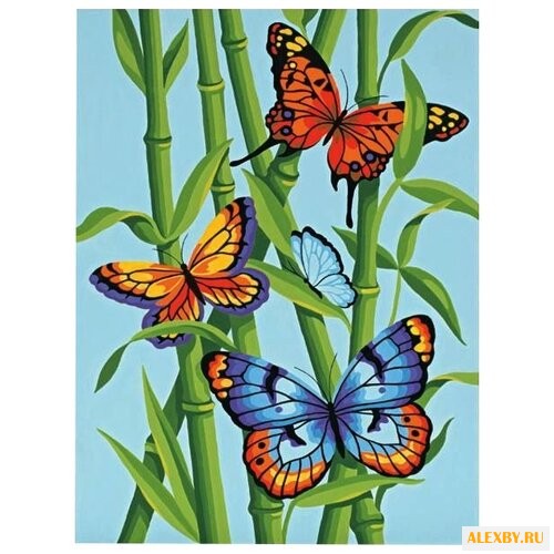 Dimensions Картина по номерам