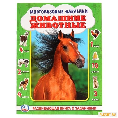 Книжка-активити A3 с