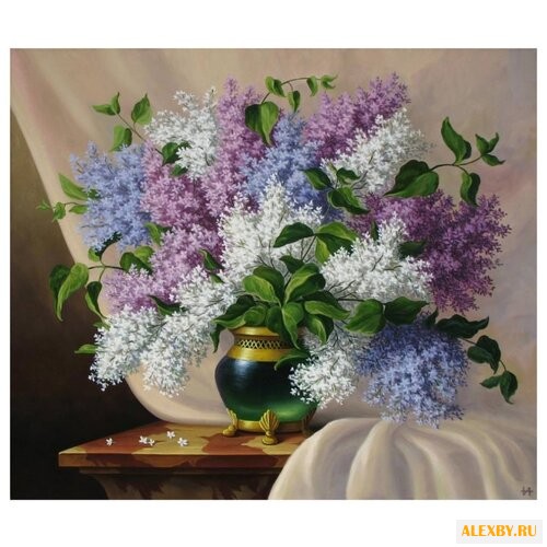 Paintboy Картина по номерам