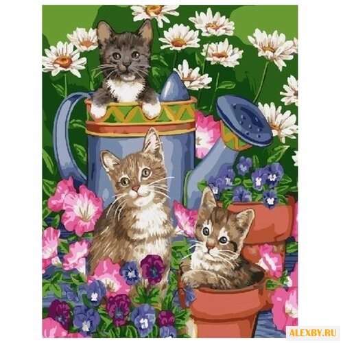 Color Kit Картина по номерам