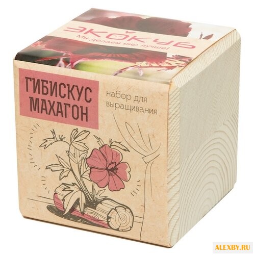 Набор для выращивания Эйфорд