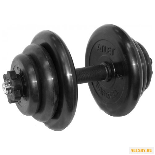 Гантель разборная MB Barbell