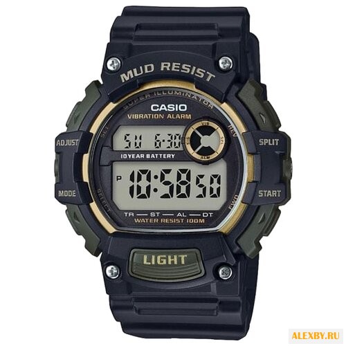 Наручные часы CASIO TRT-110H-1A2