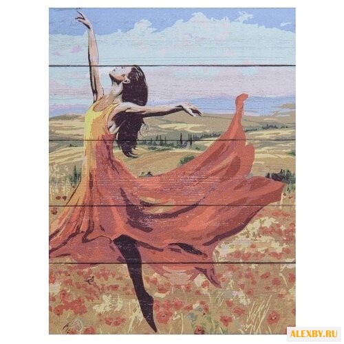 DALI Картина по номерам Грация