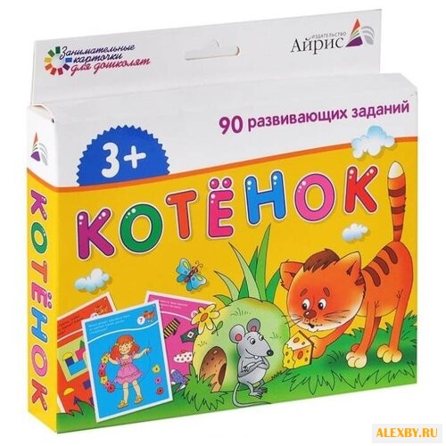 Набор карточек Айрис-Пресс