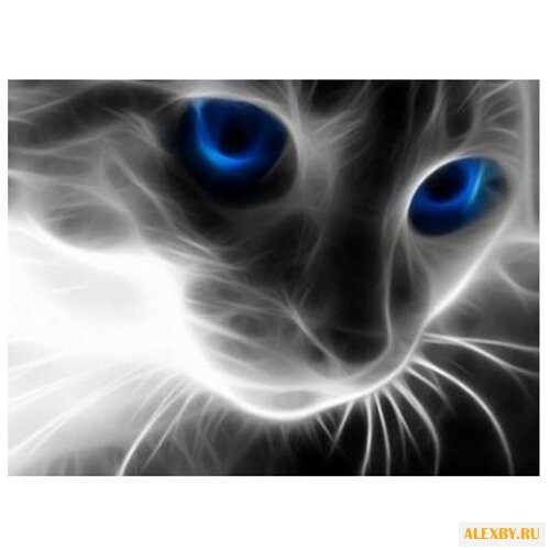 Алмазная живопись Набор