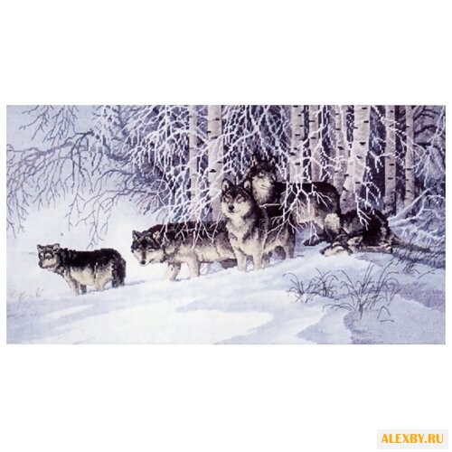 Dimensions Набор для вышивания