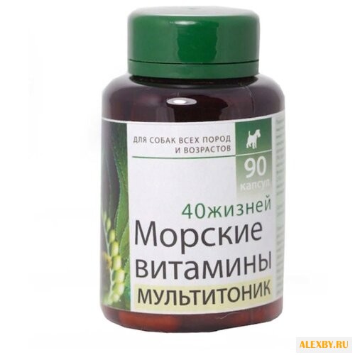 Добавка в корм Silver Track