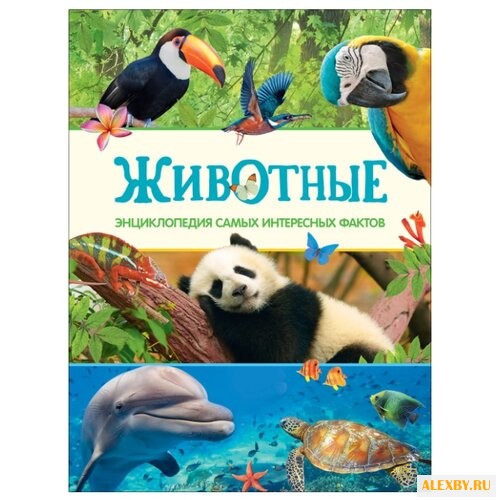 Дэвидсон С. Животные.