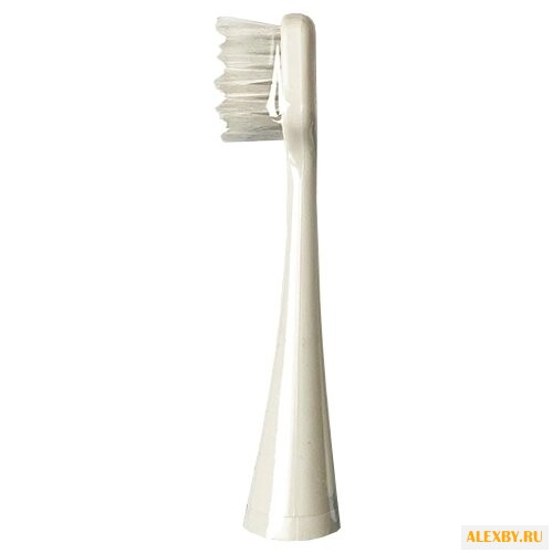 Насадка Dentalpik Pro 50 11