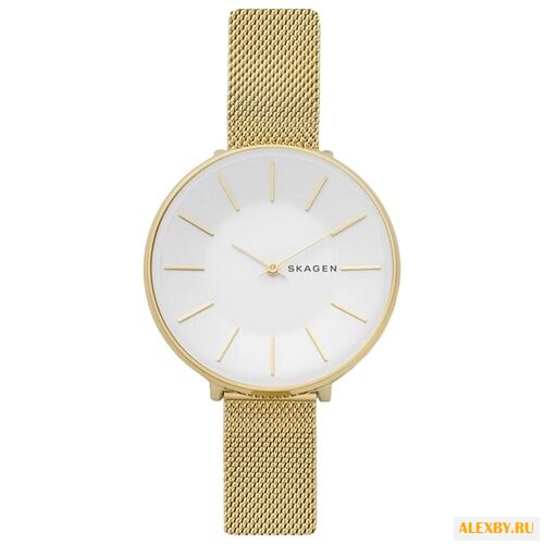 Наручные часы SKAGEN SKW1104
