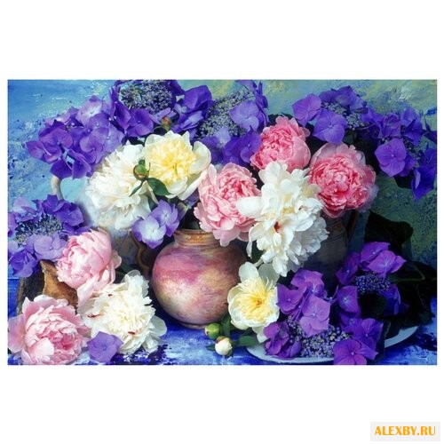 Рыжий кот Картина по номерам