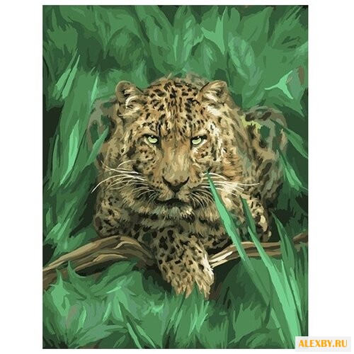 Color Kit Картина по номерам