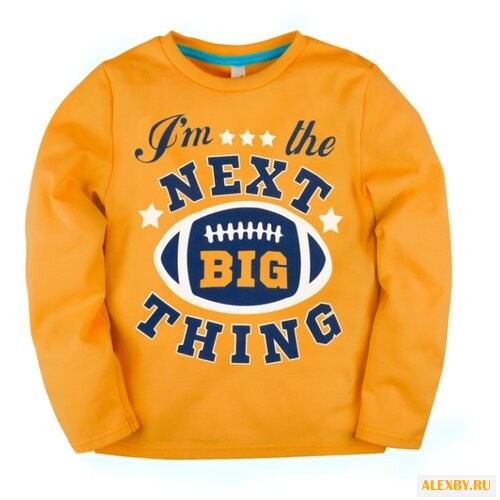 Свитшот Bossa Nova