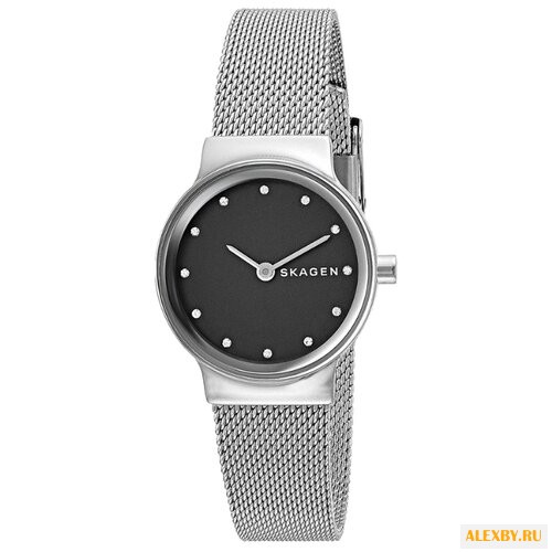 Наручные часы SKAGEN SKW2667