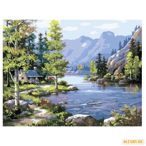 Paintboy Картина по номерам