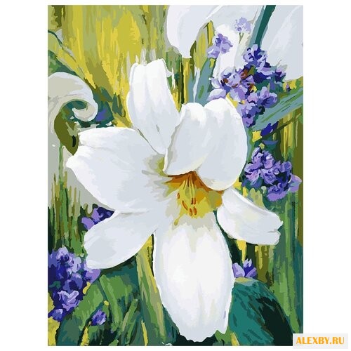 Белоснежка Картина по номерам