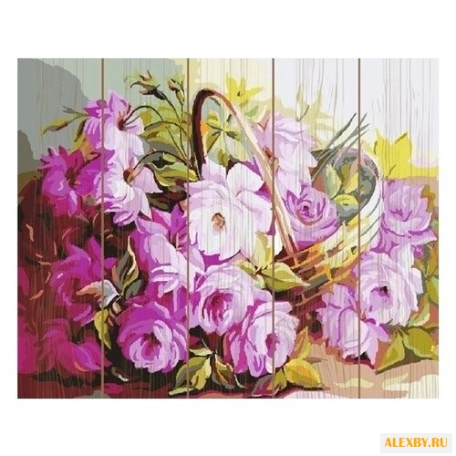 Molly Картина по номерам