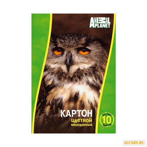 Цветной картон Animal Planet