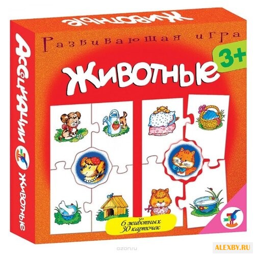Настольная игра Дрофа-Медиа