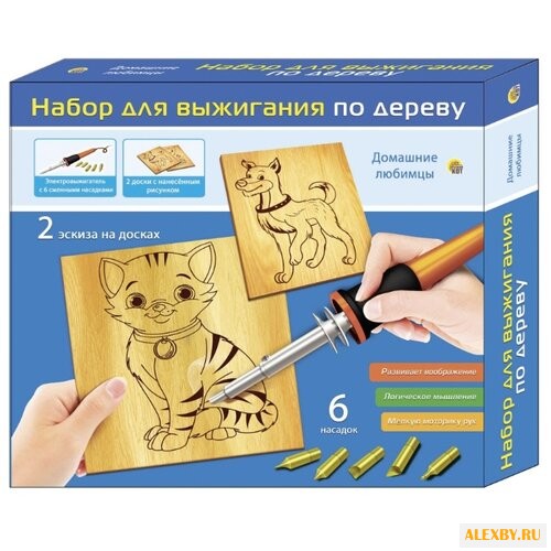 Рыжий кот Набор для выжигания