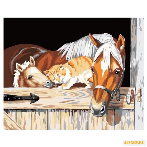 Paintboy Картина по номерам