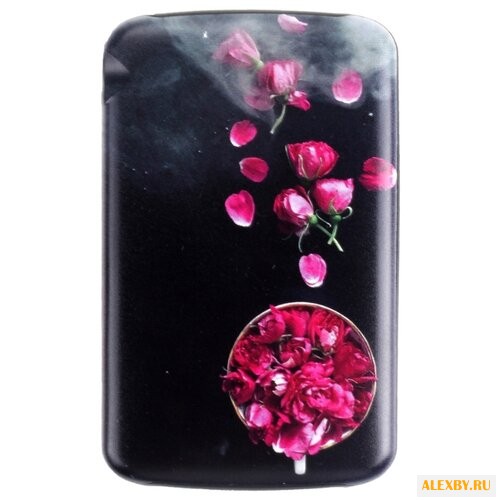 Аккумулятор WK WP-007 Fun 13000