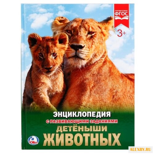 Детеныши животных