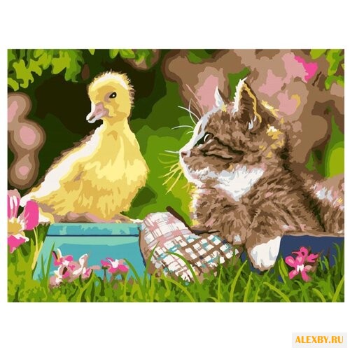 Color Kit Картина по номерам