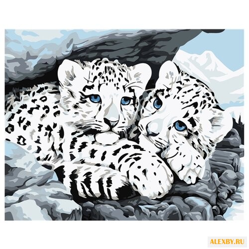 Dimensions Картина по номерам