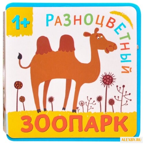 Александрова Е. Разноцветный