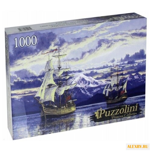 Пазл Рыжий кот Puzzolini Рэнди