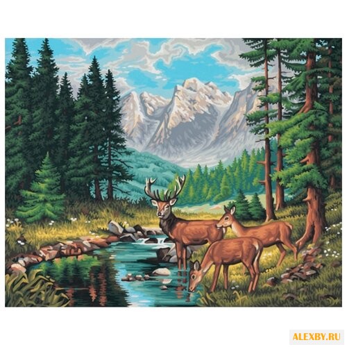 Schipper Картина по номерам