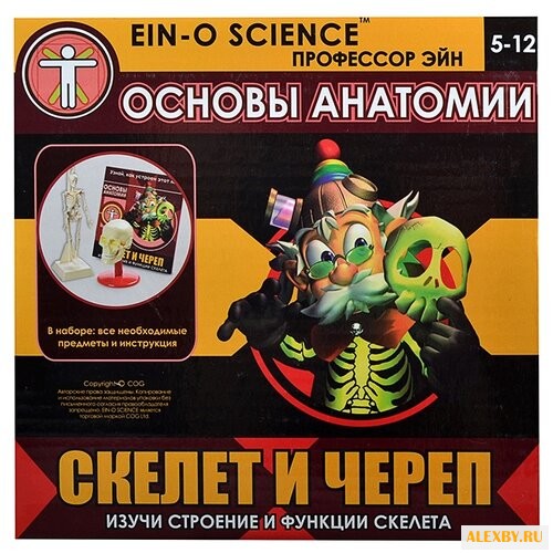 Набор Профессор Эйн Скелет и