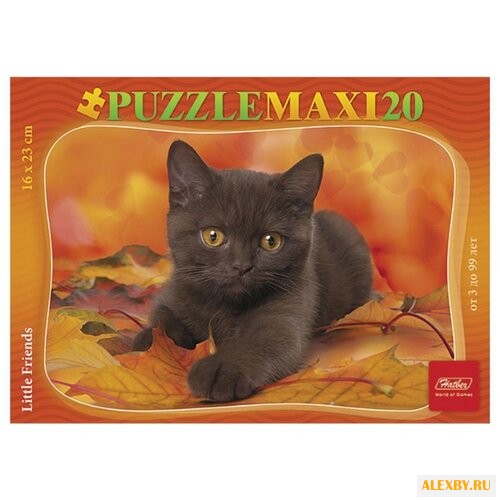 Пазл Hatber MAXI Котенок