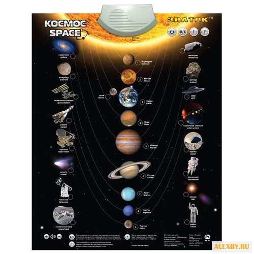 Электронный плакат Знаток