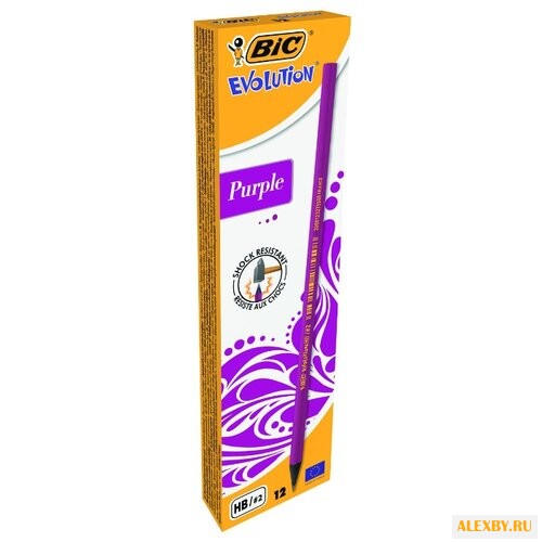 BIC Набор чернографитных