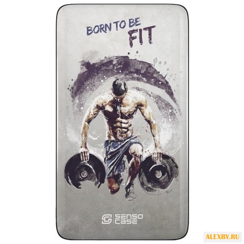 Аккумулятор Sensocase Power