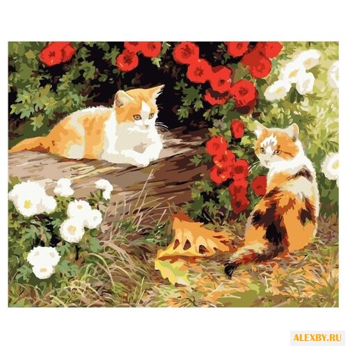 Color Kit Картина по номерам