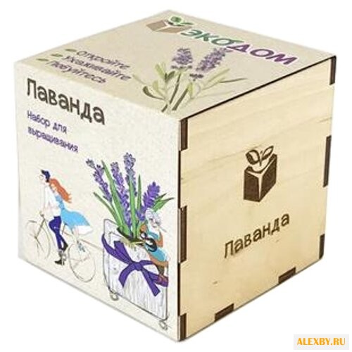 Набор Эко Клуб Лаванда