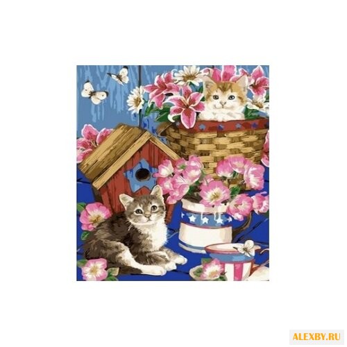 Рыжий кот Картина по номерам