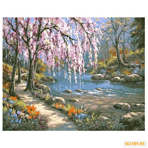 Paintboy Картина по номерам